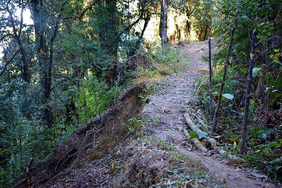 Tiffin Dara View Point